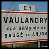 Baugé-en-Anjou 49 - Jean-Michel Andry.jpg