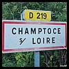 Champtocé-sur-Loire 49 - Jean-Michel Andry.jpg