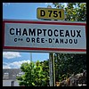 Champtoceaux 49 - Jean-Michel Andry.jpg