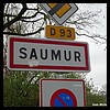 Saumur 49 - Jean-Michel Andry.jpg