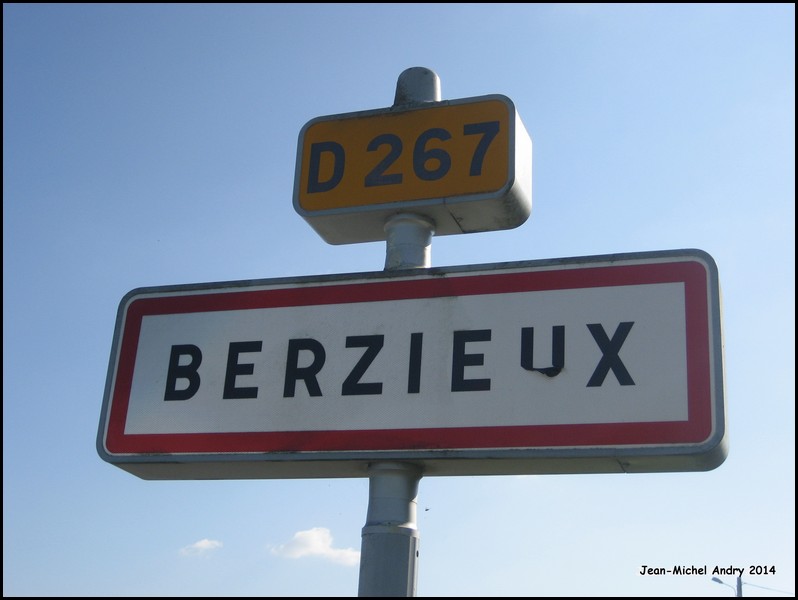 Berzieux 51 - Jean-Michel Andry.jpg