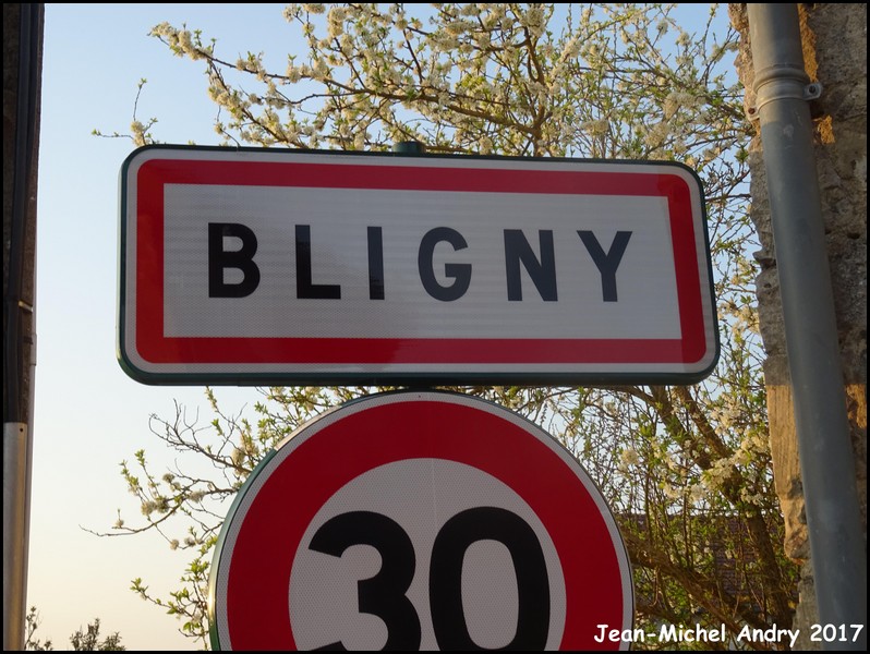 Bligny 51 - Jean-Michel Andry.jpg