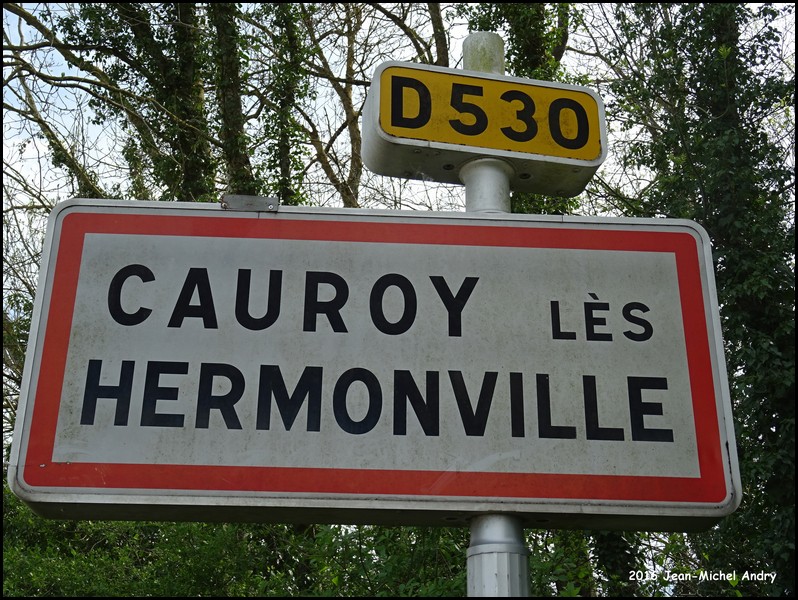 Cauroy-lès-Hermonville 51 - Jean-Michel Andry.jpg