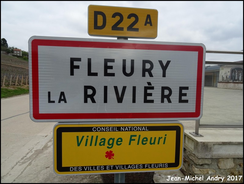 Fleury-la-Rivière 51 - Jean-Michel Andry.jpg