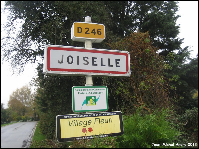Joiselle 51 - Jean-Michel Andry.jpg