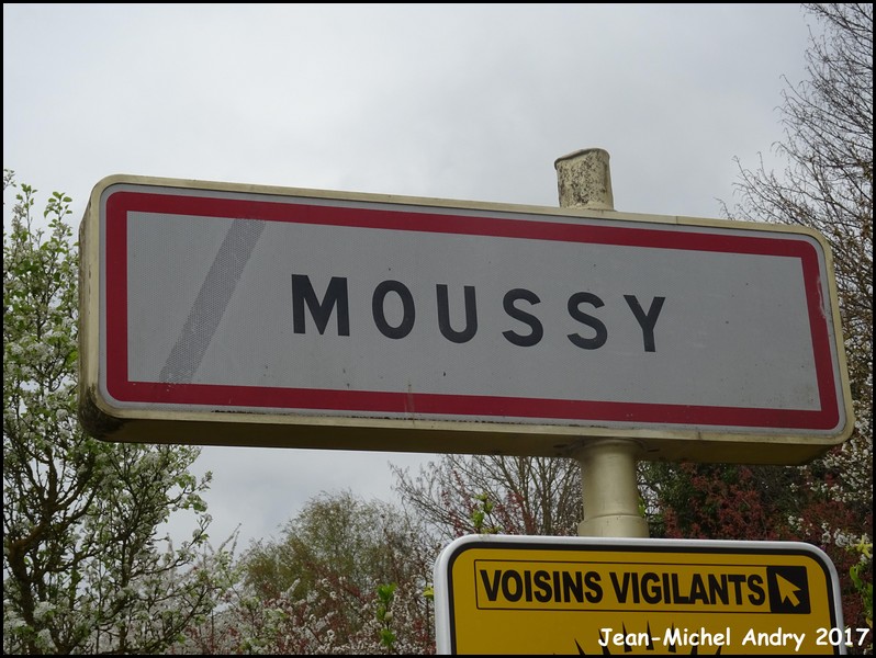 Moussy 51 - Jean-Michel Andry.jpg