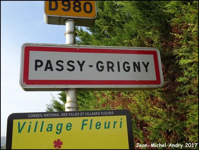 Passy-Grigny 51 - Jean-Michel Andry.jpg