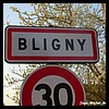 Bligny 51 - Jean-Michel Andry.jpg