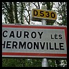 Cauroy-lès-Hermonville 51 - Jean-Michel Andry.jpg