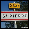 Saint-Pierre 51 - Jean-Michel Andry.jpg