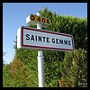 Sainte-Gemme 51 - Jean-Michel Andry.jpg