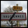 Vauciennes 51 - Jean-Michel Andry.jpg