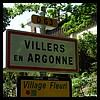 Villers-en-Argonne 51 - Jean-Michel Andry.jpg