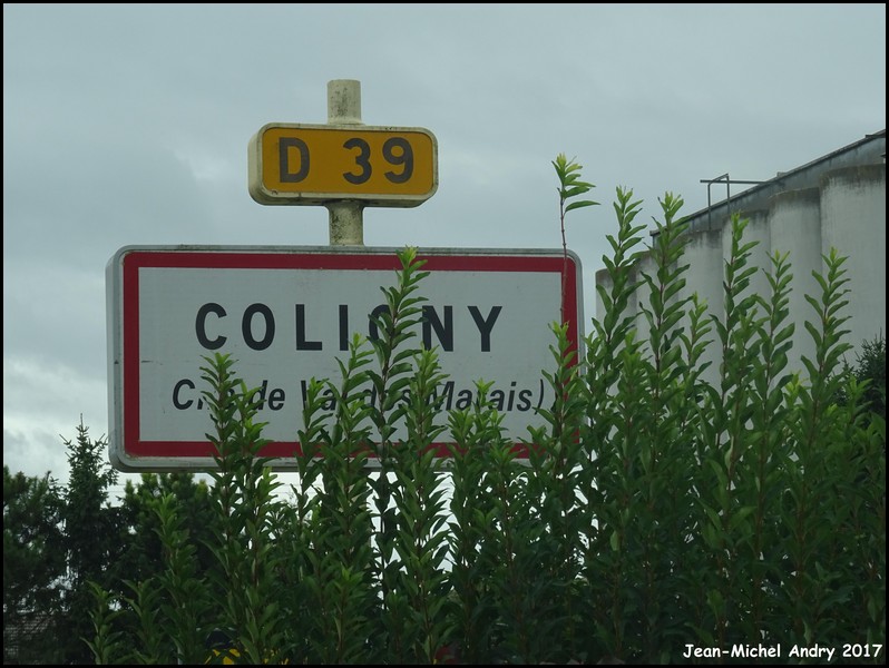 Coligny 51 - Jean-Michel Andry .JPG
