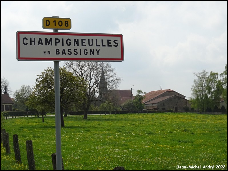 Champigneulles-en-Bassigny 52 - Jean-Michel Andry.jpg