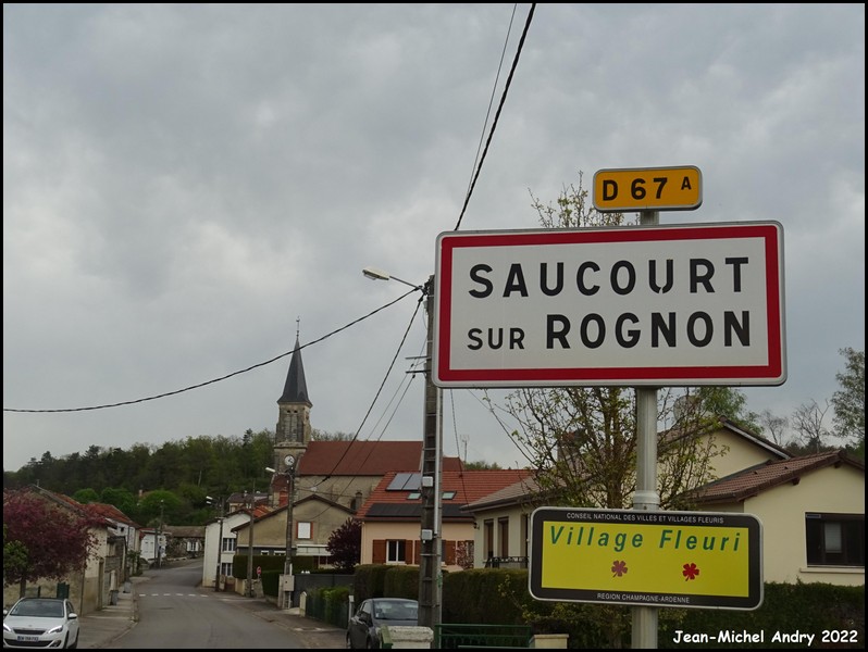 Doulaincourt-Saucourt 2 52 - Jean-Michel Andry.jpg