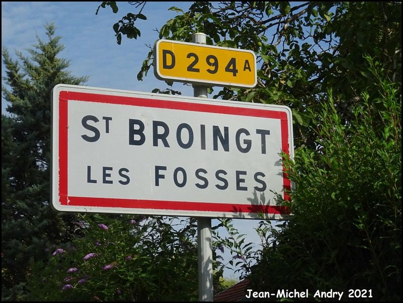 Saint-Broingt-les-Fosses 52 - Jean-Michel Andry.jpg