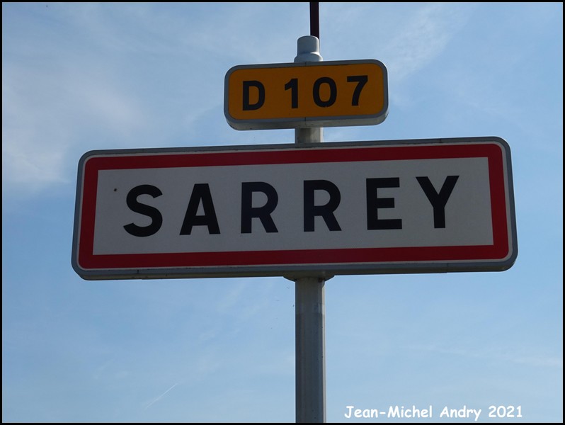 Sarrey 52 - Jean-Michel Andry.jpg