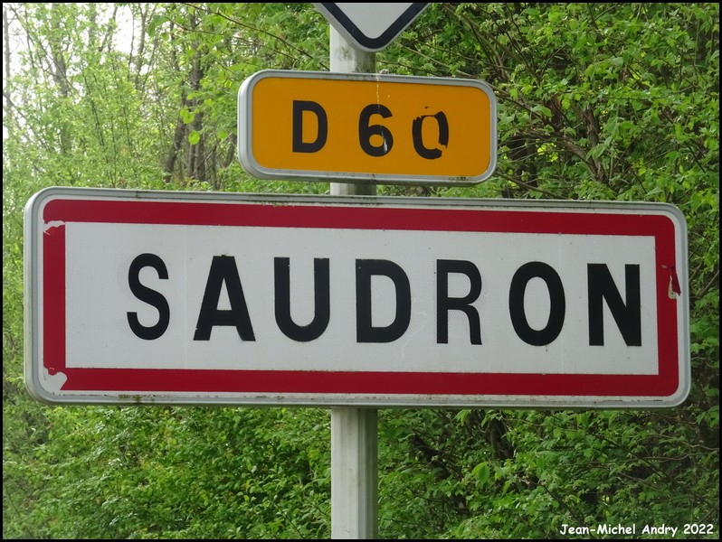 Saudron 52 - Jean-Michel Andry.jpg