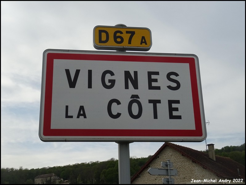 Vignes-la-Côte 52 - Jean-Michel Andry.jpg