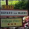 Bayard-sur-Marne 52 - Jean-Michel Andry.jpg