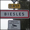 Biesles 52 - Jean-Michel Andry.jpg