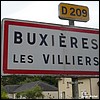 Buxières-lès-Villiers 52 - Jean-Michel Andry.jpg
