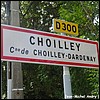 Choilley-Dardenay 1 52 - Jean-Michel Andry.jpg