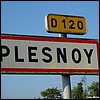 Plesnoy 52 - Jean-Michel Andry.jpg
