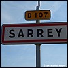 Sarrey 52 - Jean-Michel Andry.jpg