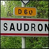 Saudron 52 - Jean-Michel Andry.jpg