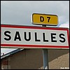Saulles 52 - Jean-Michel Andry.jpg