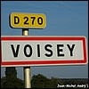 Voisey 52 - Jean-Michel Andry.jpg