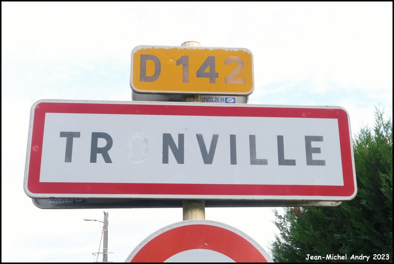 Tronville 54 - Jean-Michel Andry.jpg