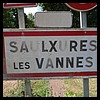 Saulxures-lès-Vannes  54 - Jean-Michel Andry.jpg