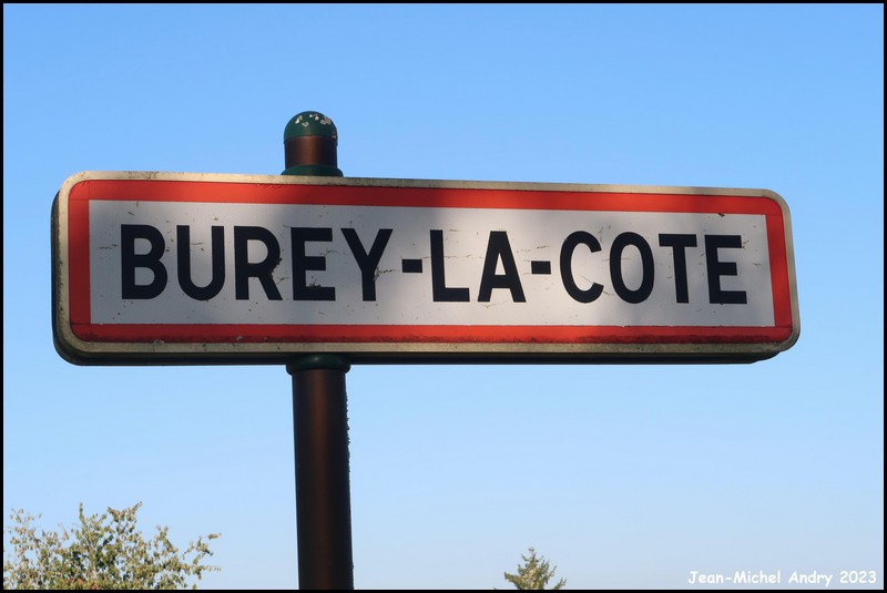 Burey-la-Côte 55 - Jean-Michel Andry.jpg