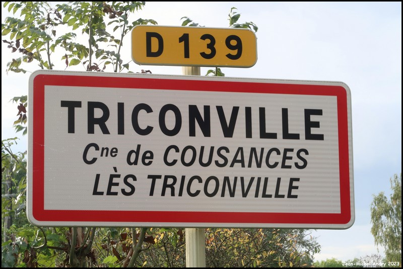 Cousances-lès-Triconville 2 55 - Jean-Michel Andry.jpg