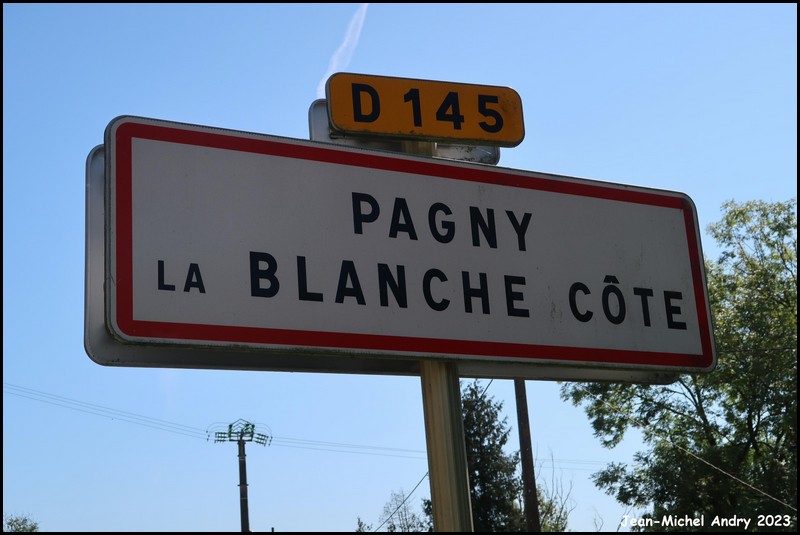 Pagny-la-Blanche-Côte 55 - Jean-Michel Andry.jpg