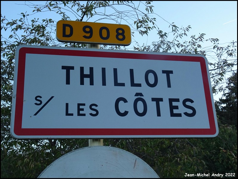 Thillot 55 - Jean-Michel Andry.jpg