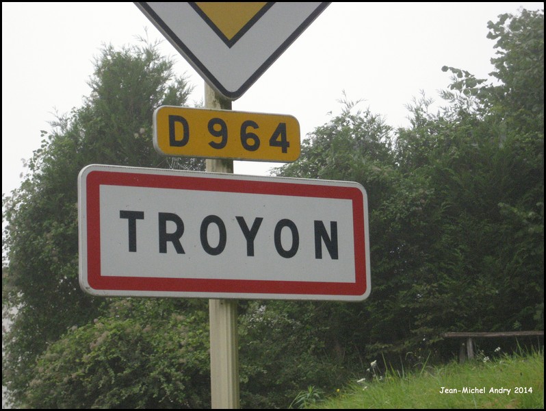 Troyon 55 - Jean-Michel Andry.jpg