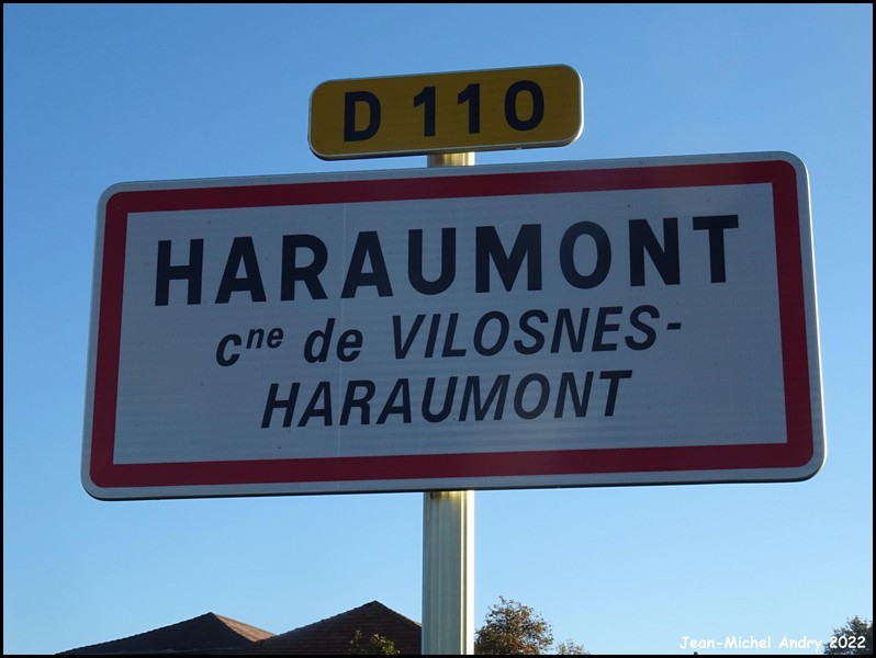 Vilosnes-Haraumont 2 55 - Jean-Michel Andry.jpg
