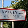 Brixey-aux-Chanoines 55 - Jean-Michel Andry.jpg