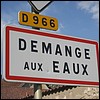 Demange-aux-Eaux 55 - Jean-Michel Andry.jpg