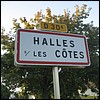 Halles-sous-les-Côtes 55 - Jean-Michel Andry.jpg