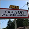Saulvaux 55 - Jean-Michel Andry.jpg