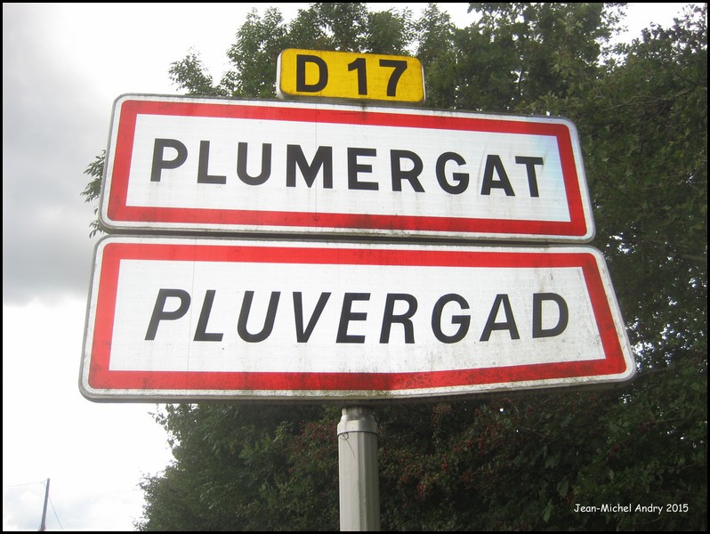 Plumergat 56 - Jean-Michel Andry.jpg