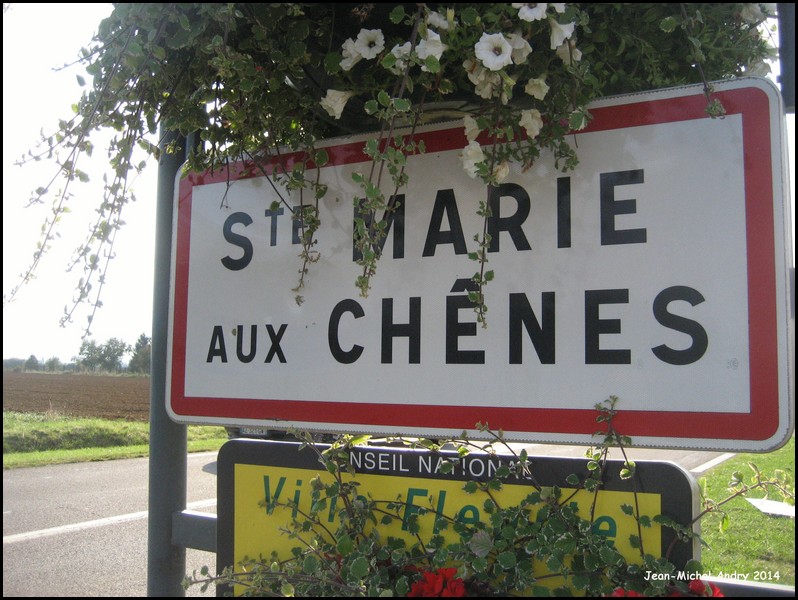Sainte-Marie-aux-Chênes 57 - Jean-Michel Andry.jpg