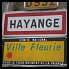 Hayange 57 - Jean-Michel Andry.jpg