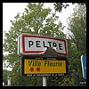 Peltre 57 - Jean-Michel Andry.jpg