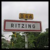 Ritzing 57 - Jean-Michel Andry.jpg